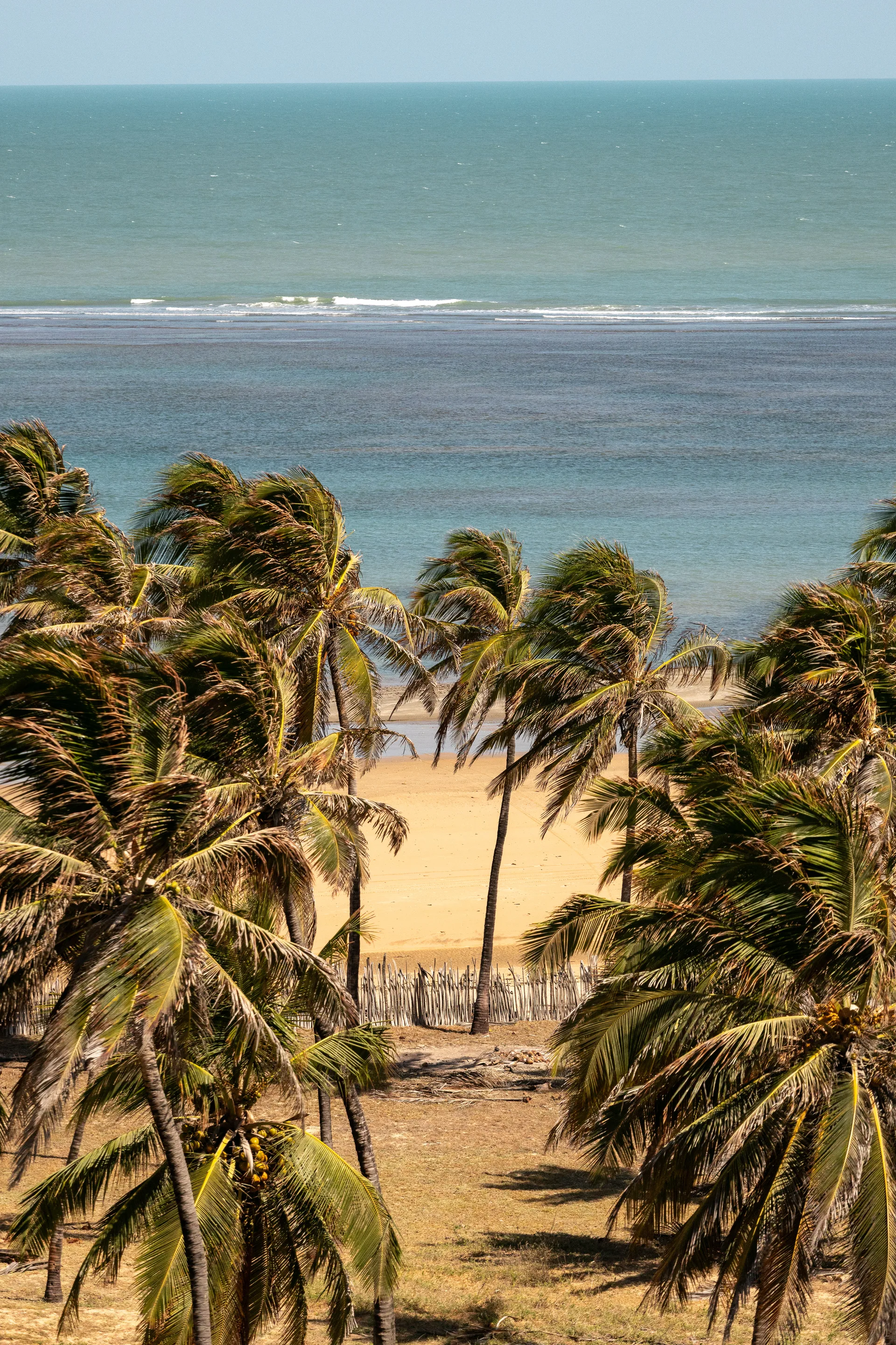 Paisagem de Moitas