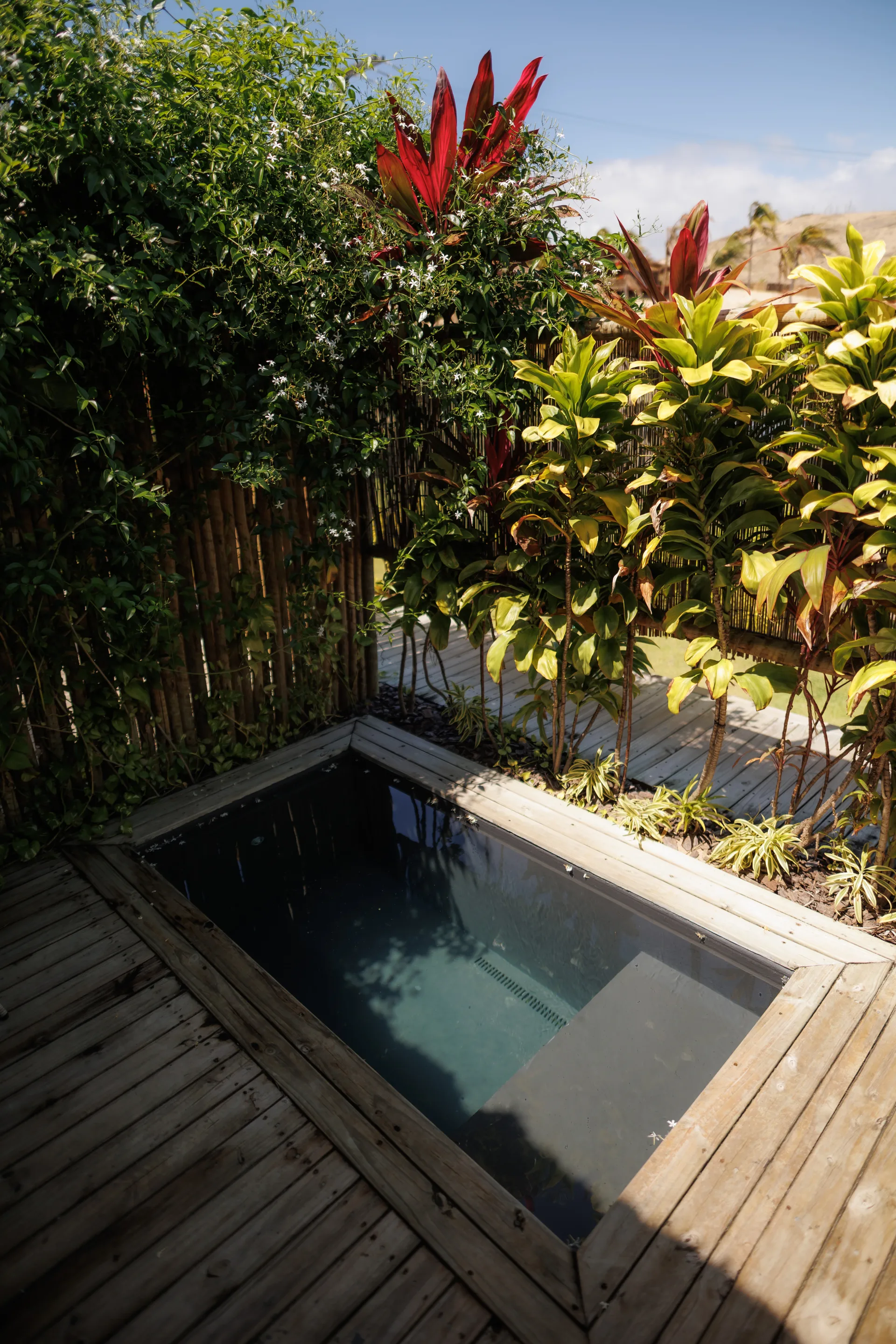 Studio piscina